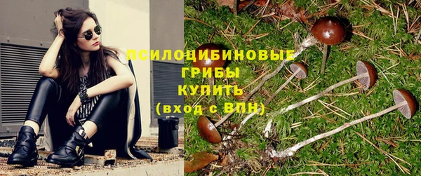 героин Белокуриха
