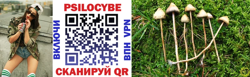 Галлюциногенные грибы Psilocybine cubensis  блэк спрут ссылка  Печора 